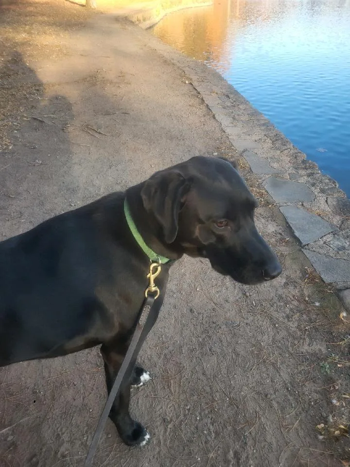 Mitchell thumbnail 3