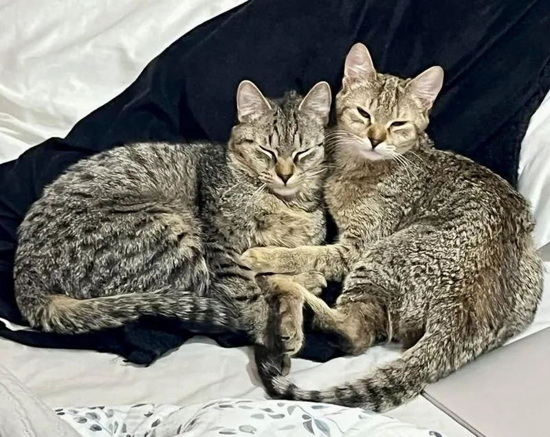 Kiki & Cici thumbnail 3