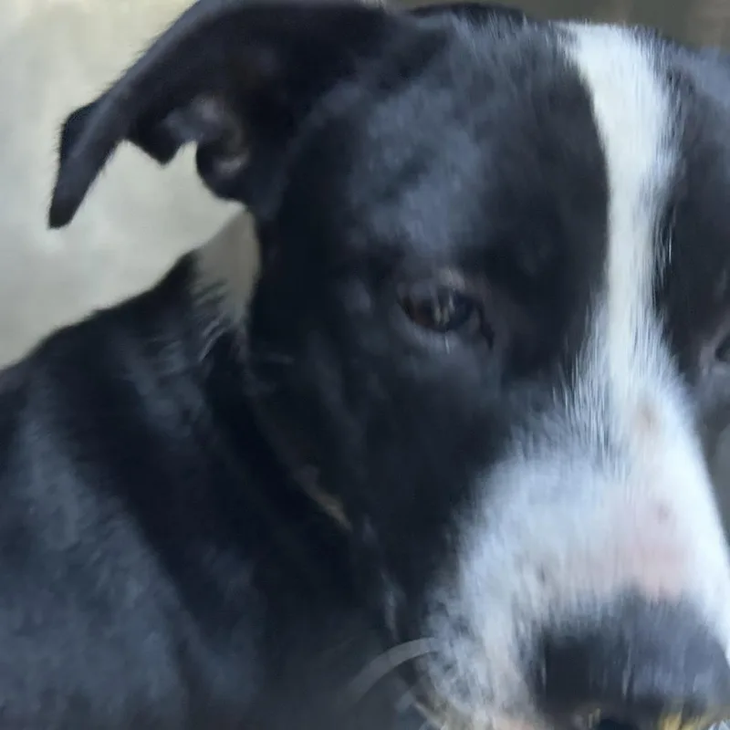 Lenny thumbnail 2