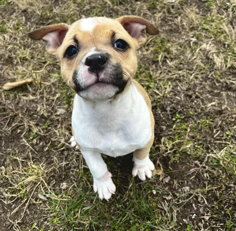 Max Mayfield thumbnail 2