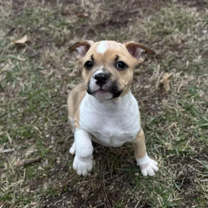 Max Mayfield thumbnail 3