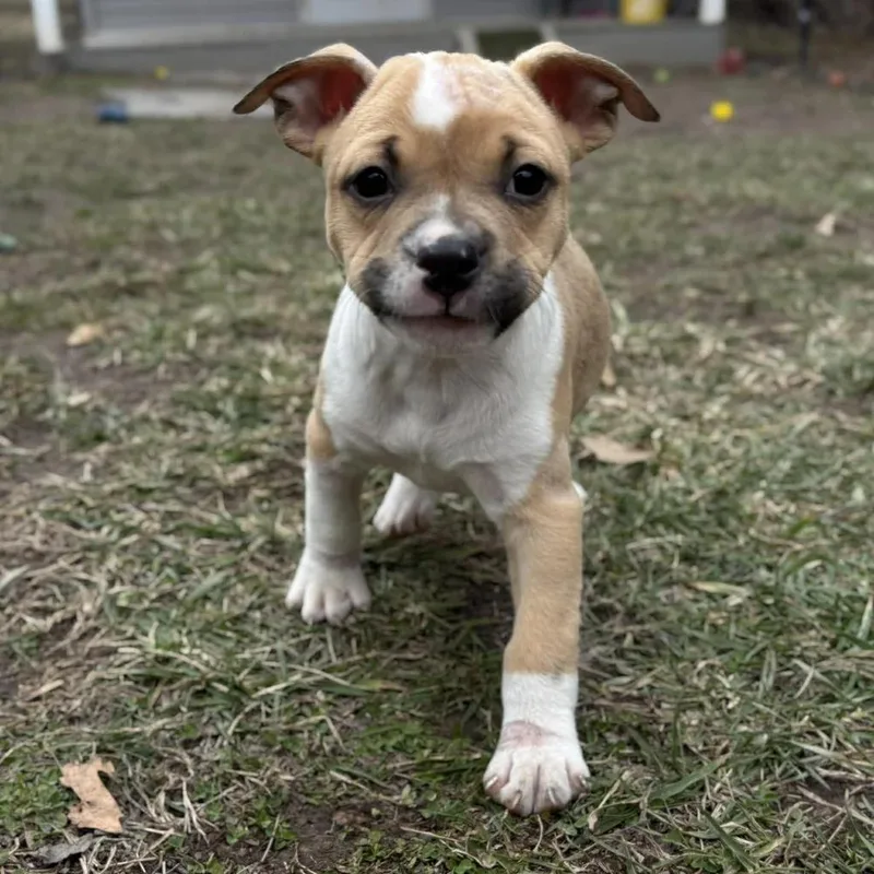 Max Mayfield thumbnail 4