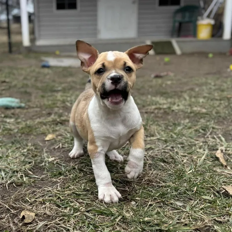 Max Mayfield thumbnail 5