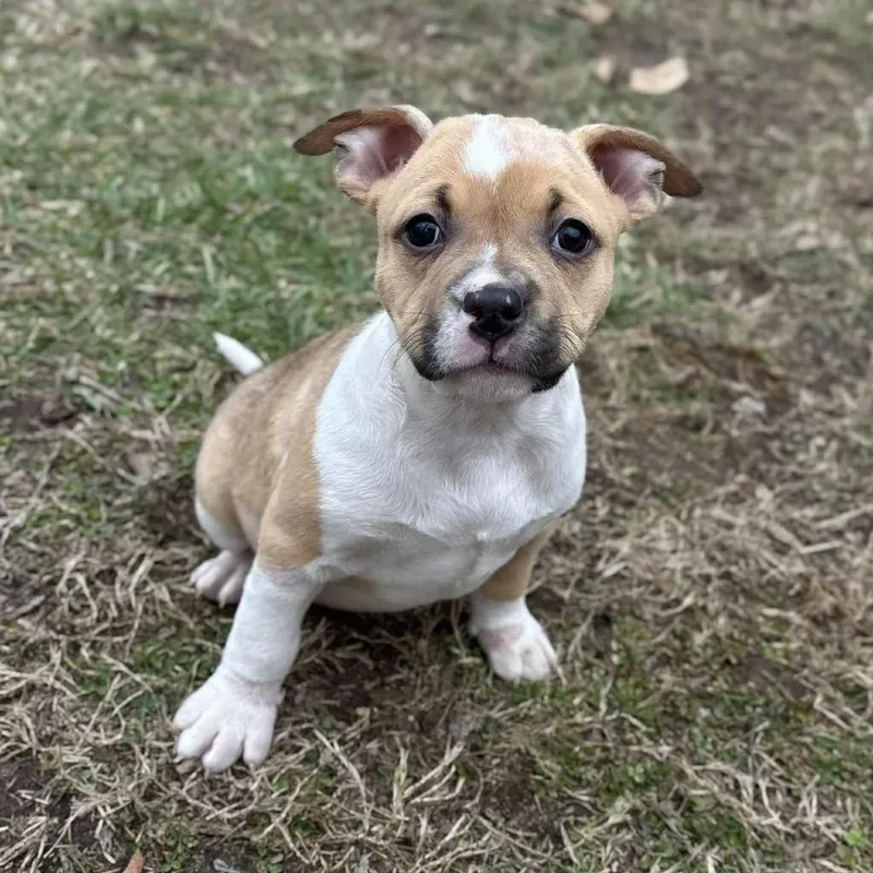 Max Mayfield thumbnail 6