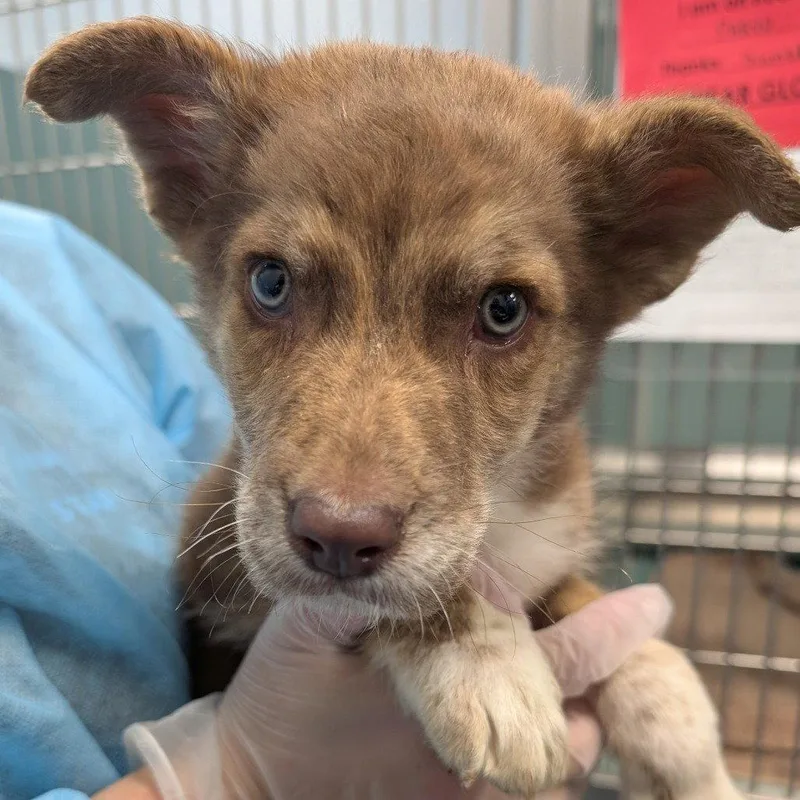 Wrangler thumbnail 2