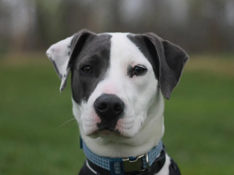 Murphy Courtesy Listing thumbnail 3