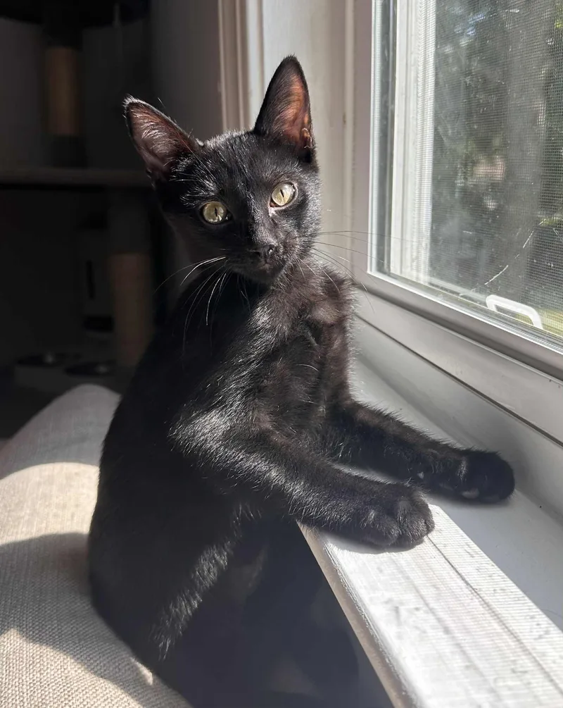 Gio =^.^= thumbnail 2