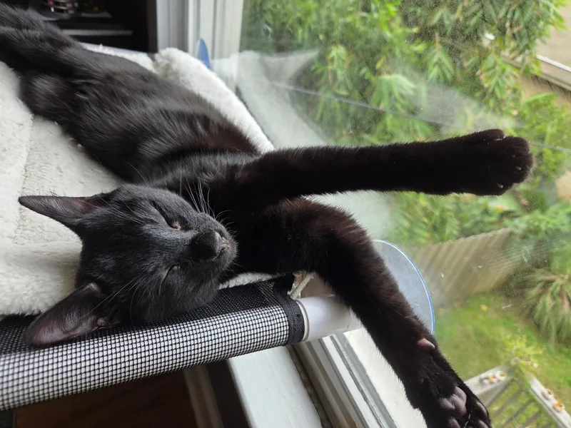 Gio =^.^= thumbnail 3