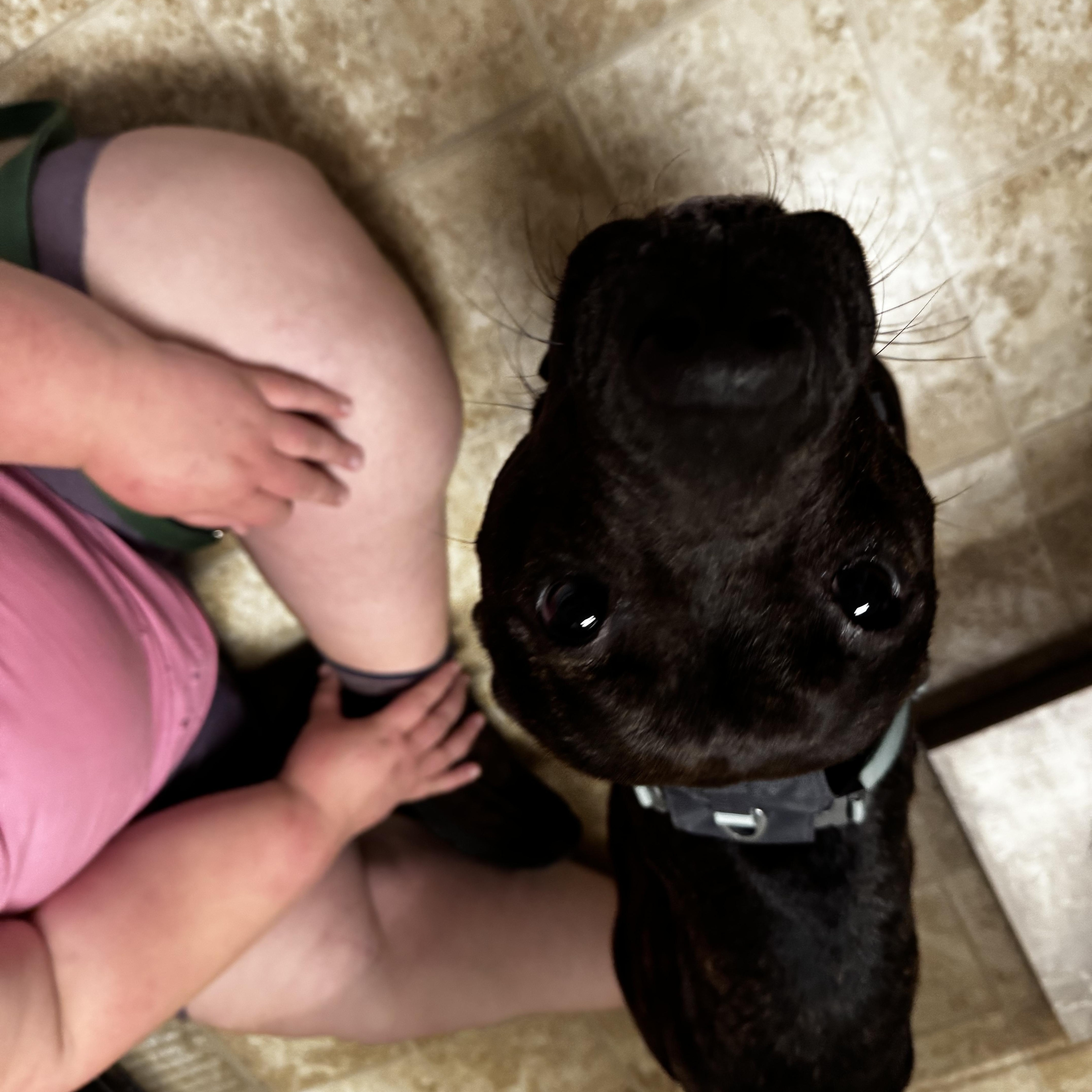 Charlotte thumbnail 2