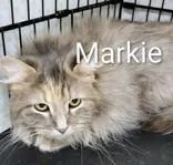 Markie