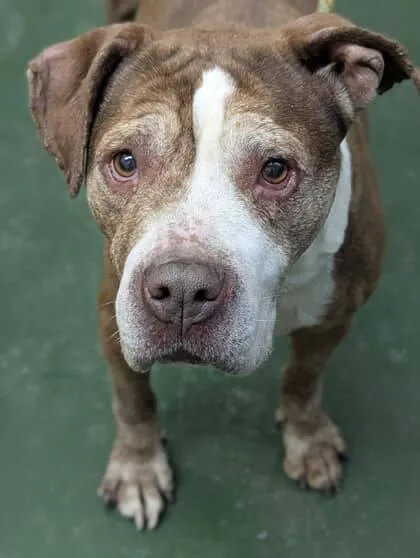 Wilma