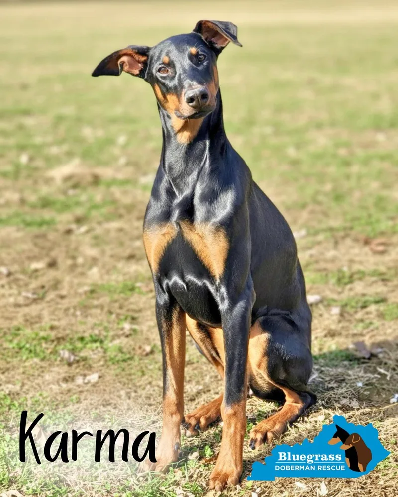 Karma thumbnail 2