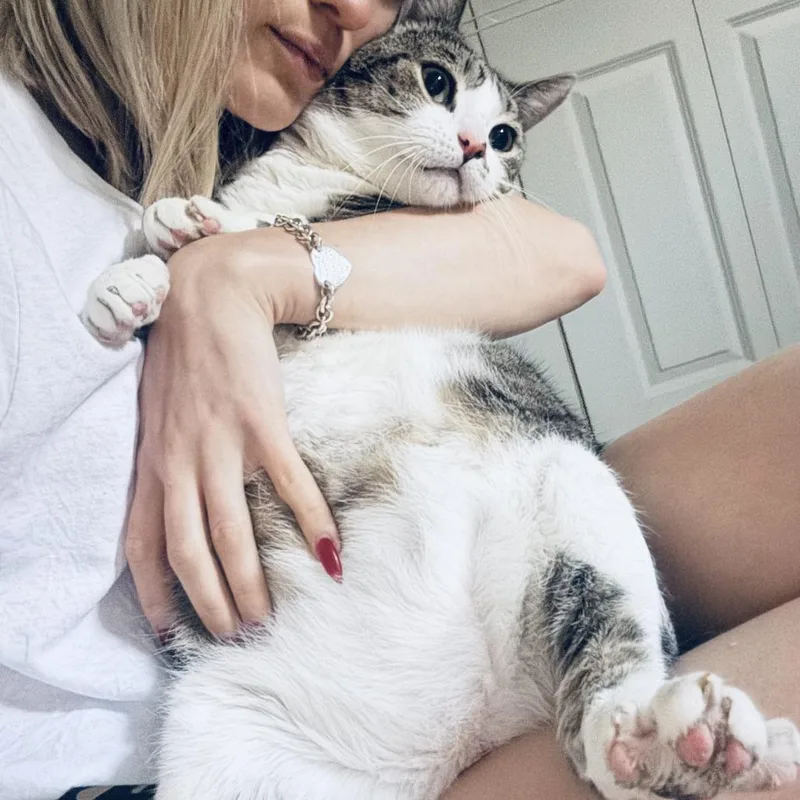 Pikameow thumbnail 4