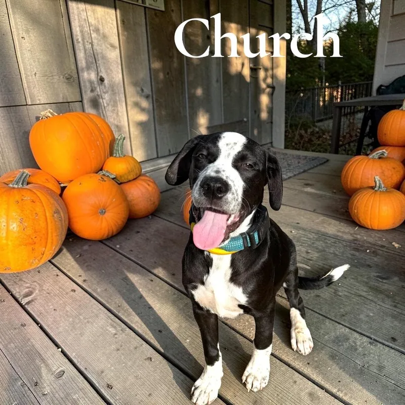 Church thumbnail 4