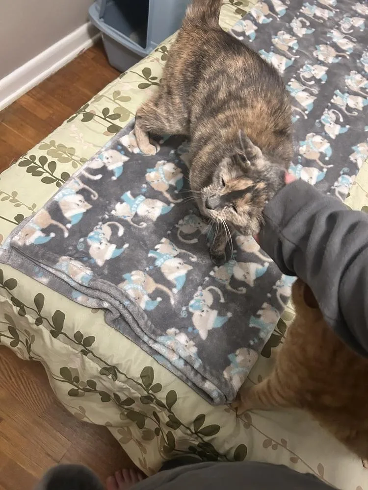 Gabby thumbnail 2