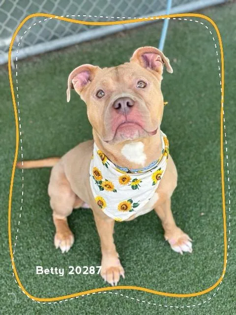 Betty thumbnail 2