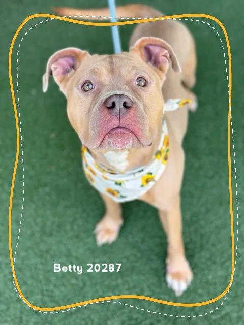 Betty thumbnail 3
