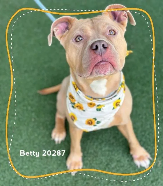 Betty thumbnail 5