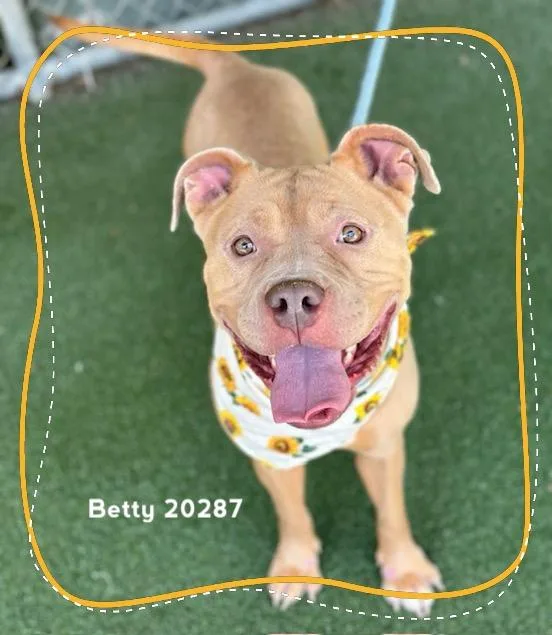 Betty thumbnail 6