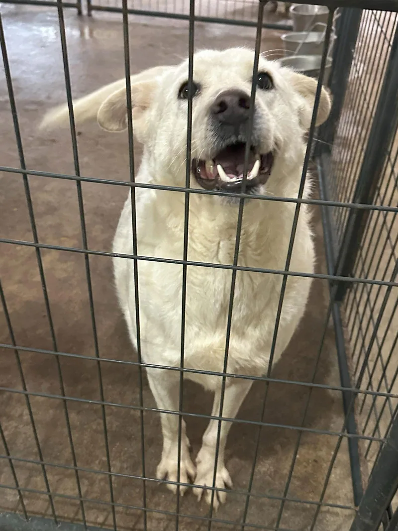 Saturday thumbnail 2