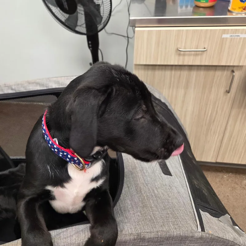 Obsidian thumbnail 2