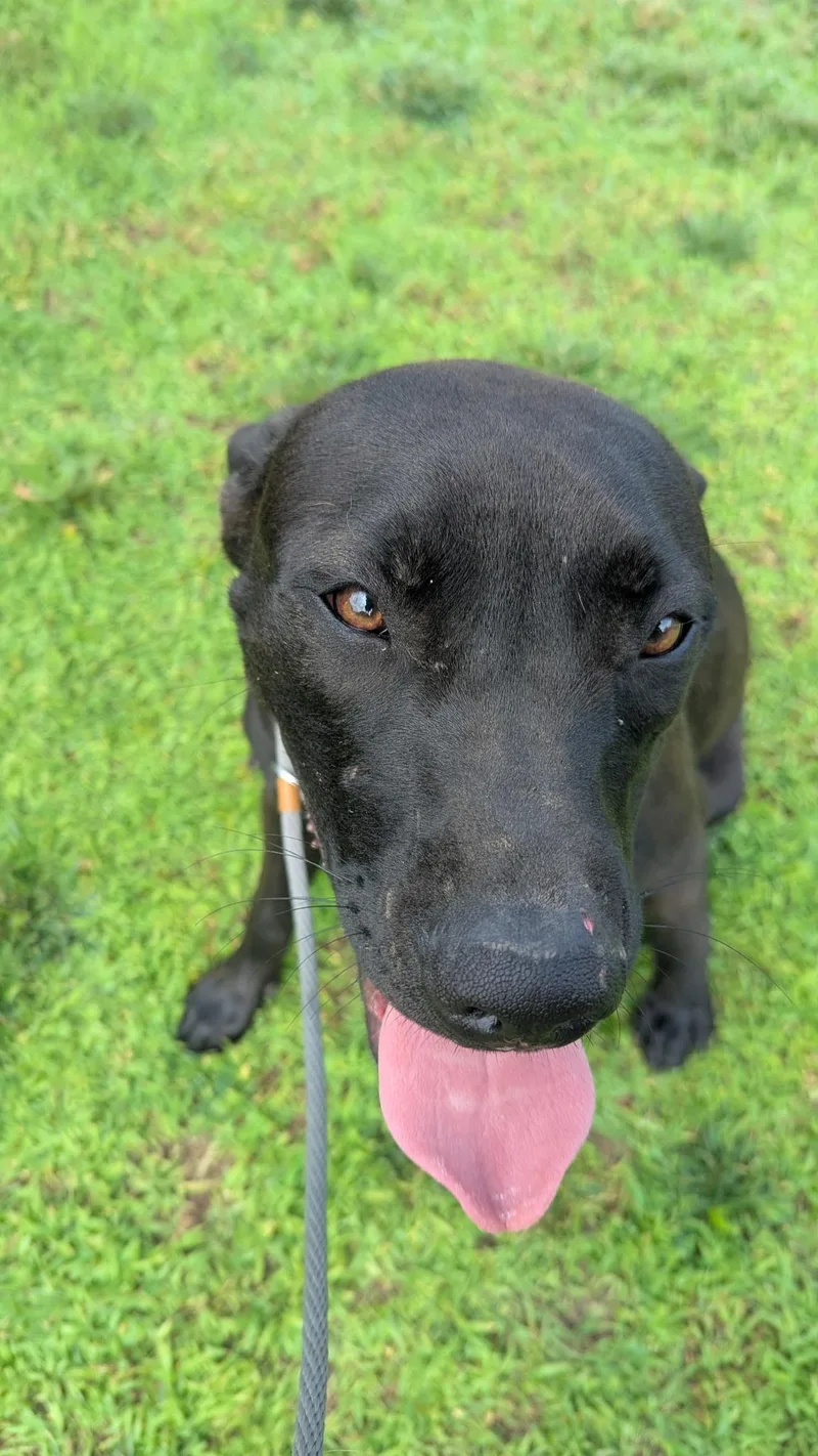 Missy Elliott thumbnail 2