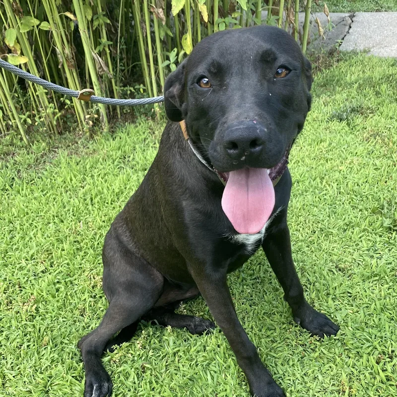 Missy Elliott thumbnail 3