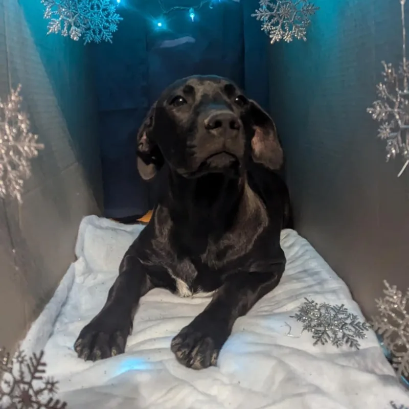 Missy Elliott thumbnail 5