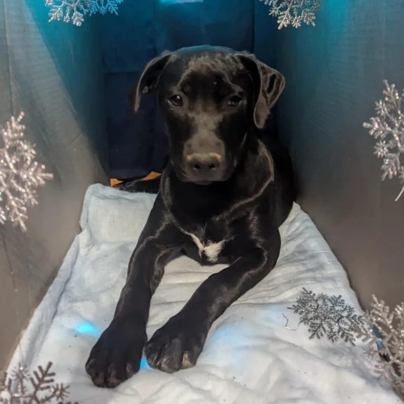 Missy Elliott thumbnail 6