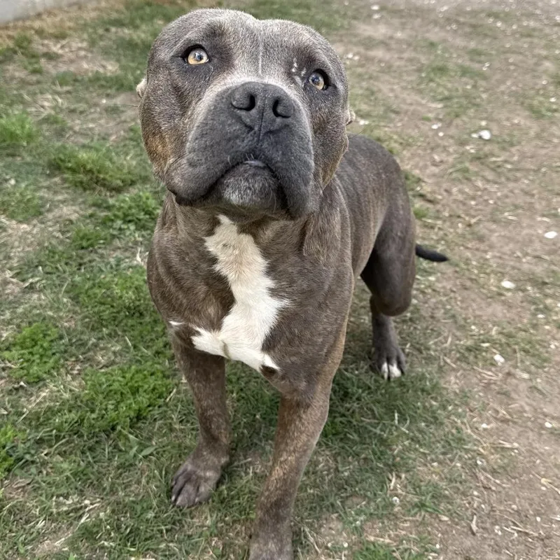 Sebastian thumbnail 2