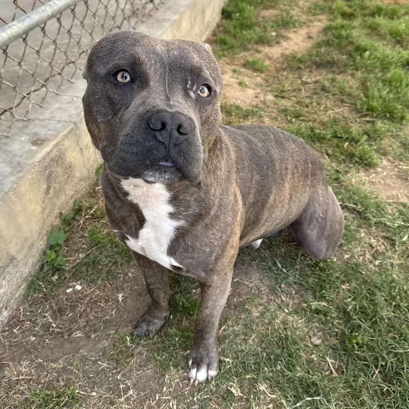 Sebastian thumbnail 4