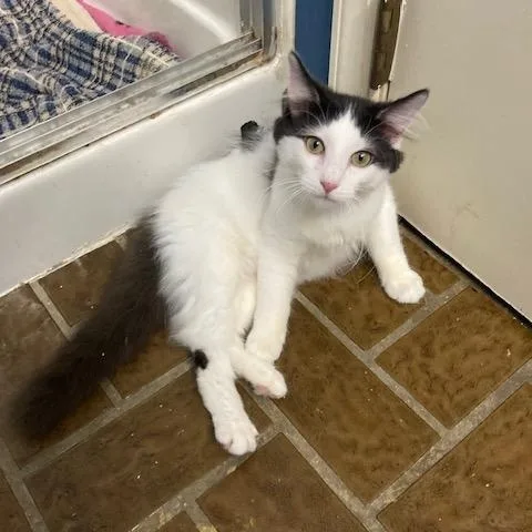 Nj  Liam thumbnail 2