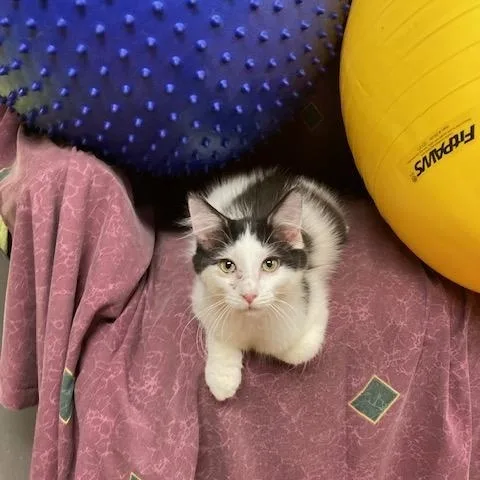 Nj  Liam thumbnail 4