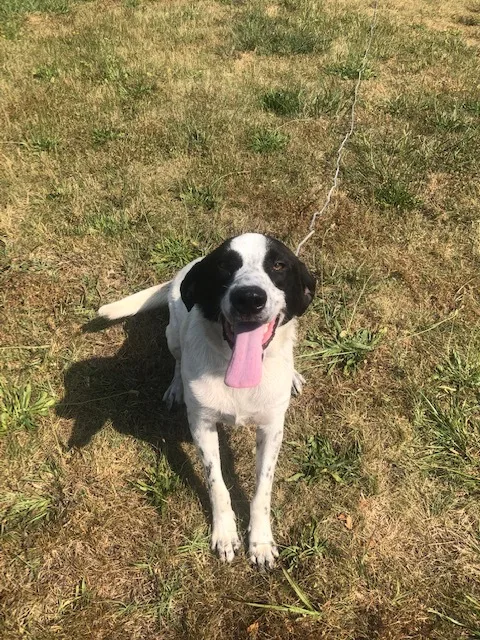 Arlo!