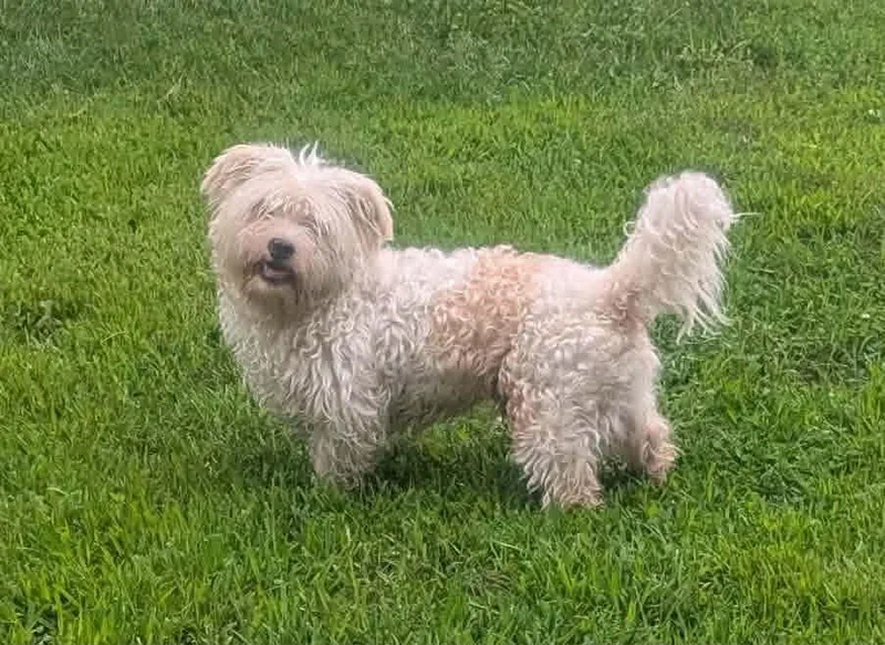 August aka "Gussie"