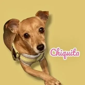 Chiquita