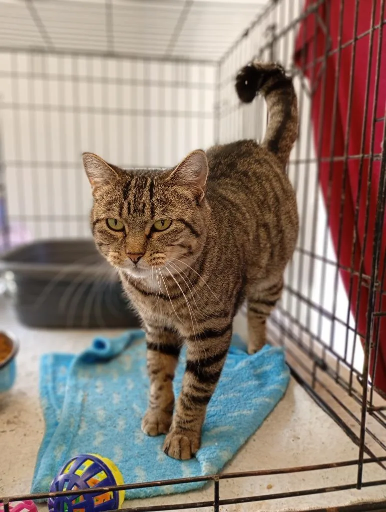 Mama Kiki
