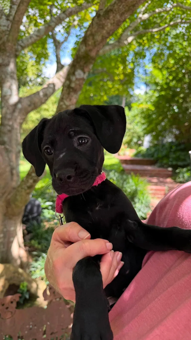 Nellie thumbnail 2