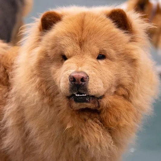 Larry Fka Jude thumbnail 3