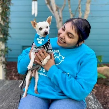 Tamagotchi thumbnail 2