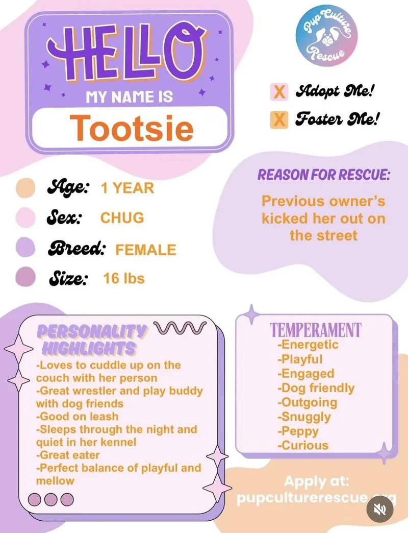 Tootsie thumbnail 5