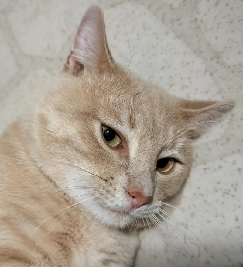 Sammy F. thumbnail 2