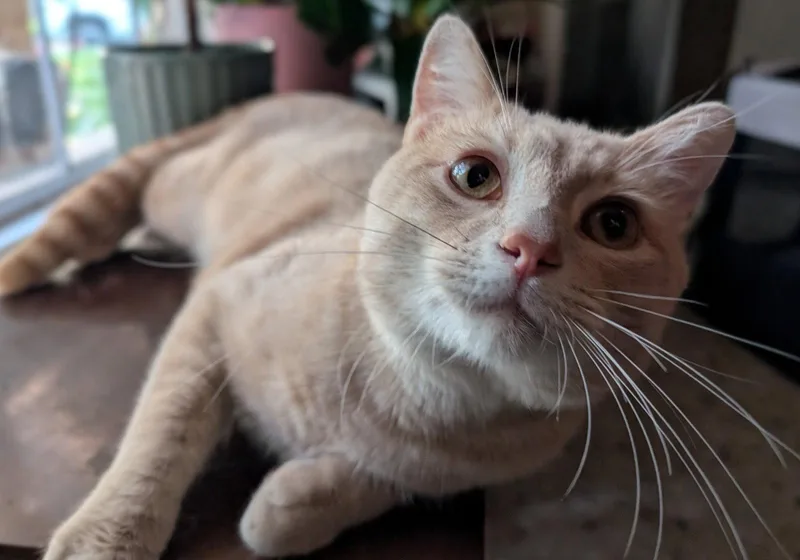 Sammy F. thumbnail 3