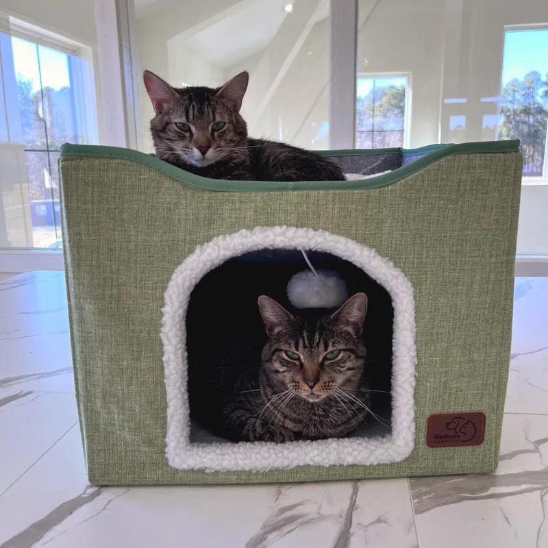 Mrs. Claus thumbnail 2