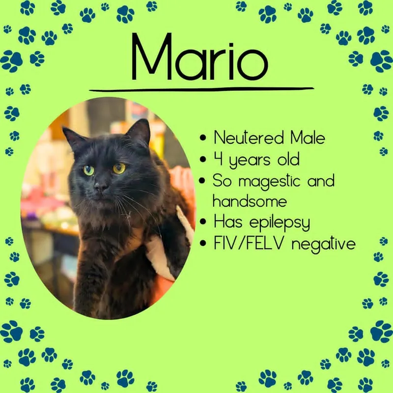 Mario