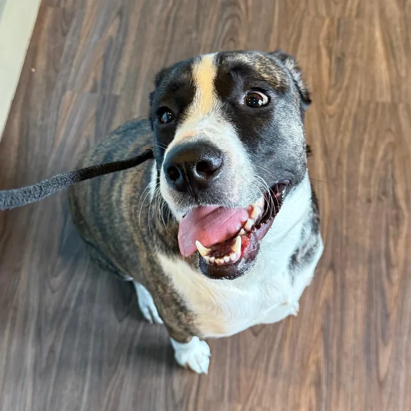 KENICKLE AKA Jasmine