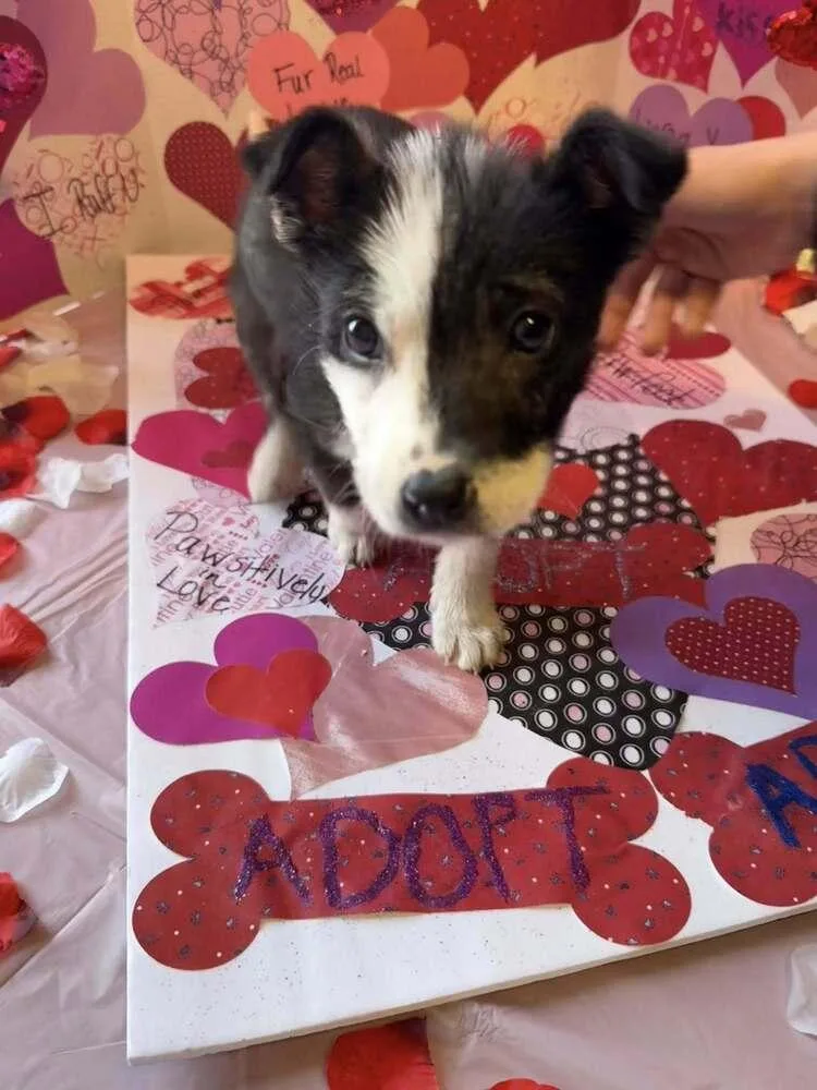 Jack Sparrow thumbnail 5