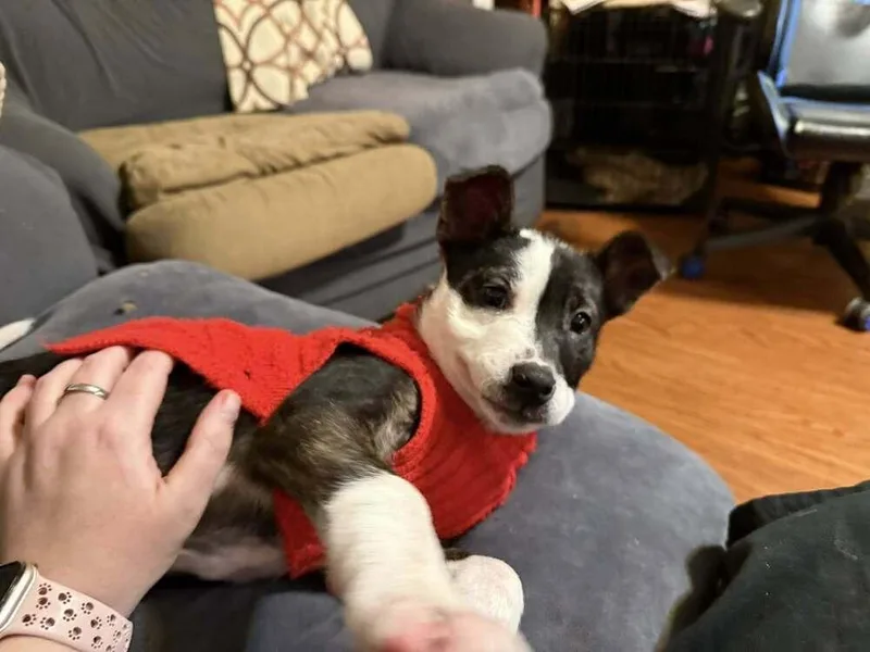 Jack Sparrow thumbnail 6