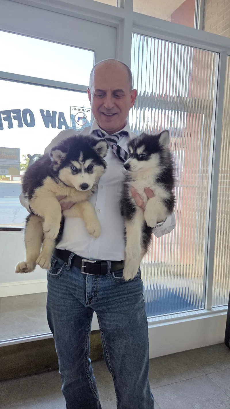 HUSKY "Wooly coat" thumbnail 3
