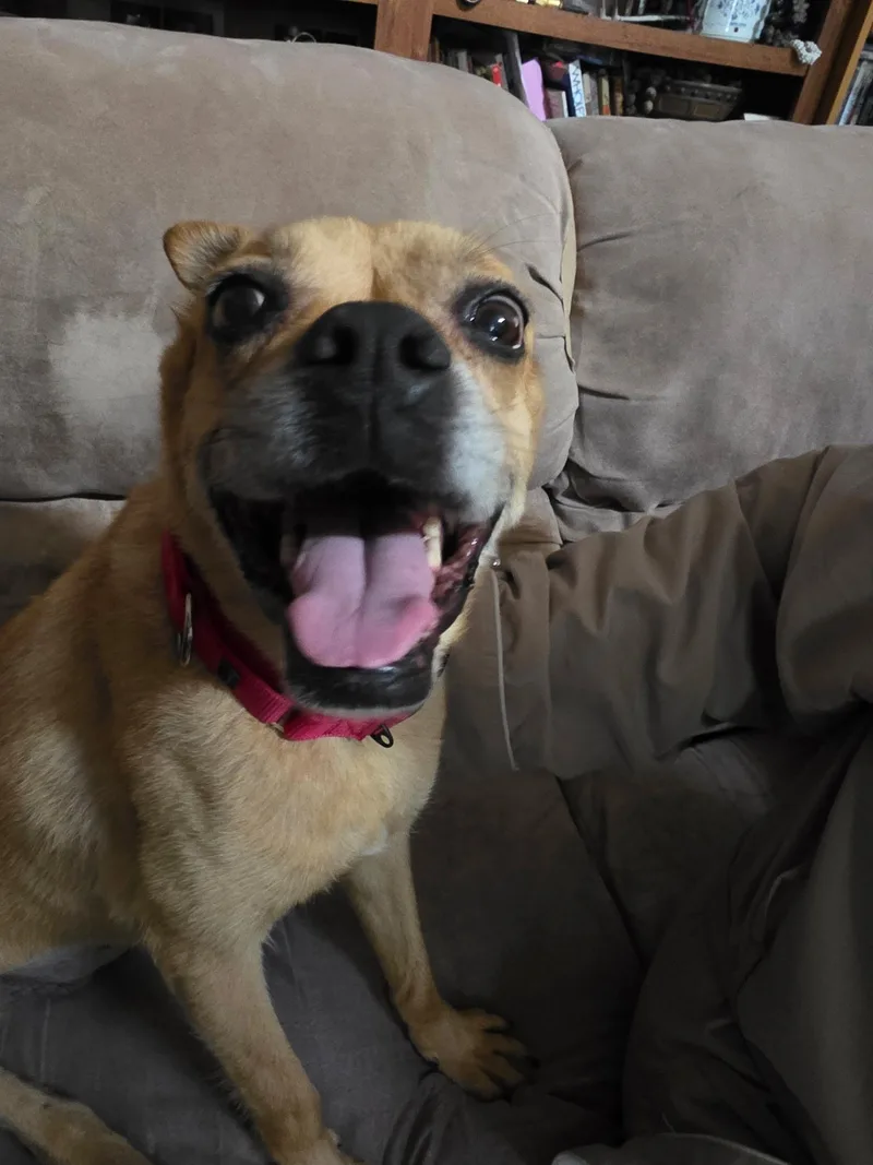 Zoe thumbnail 2